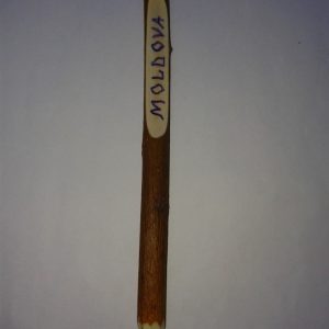 Wooden pen "Moldova"